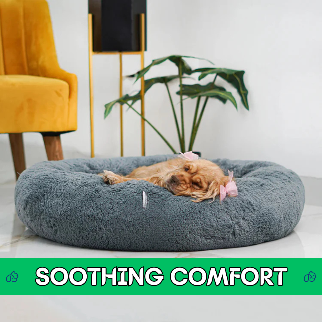 PurePaw® Cocoon